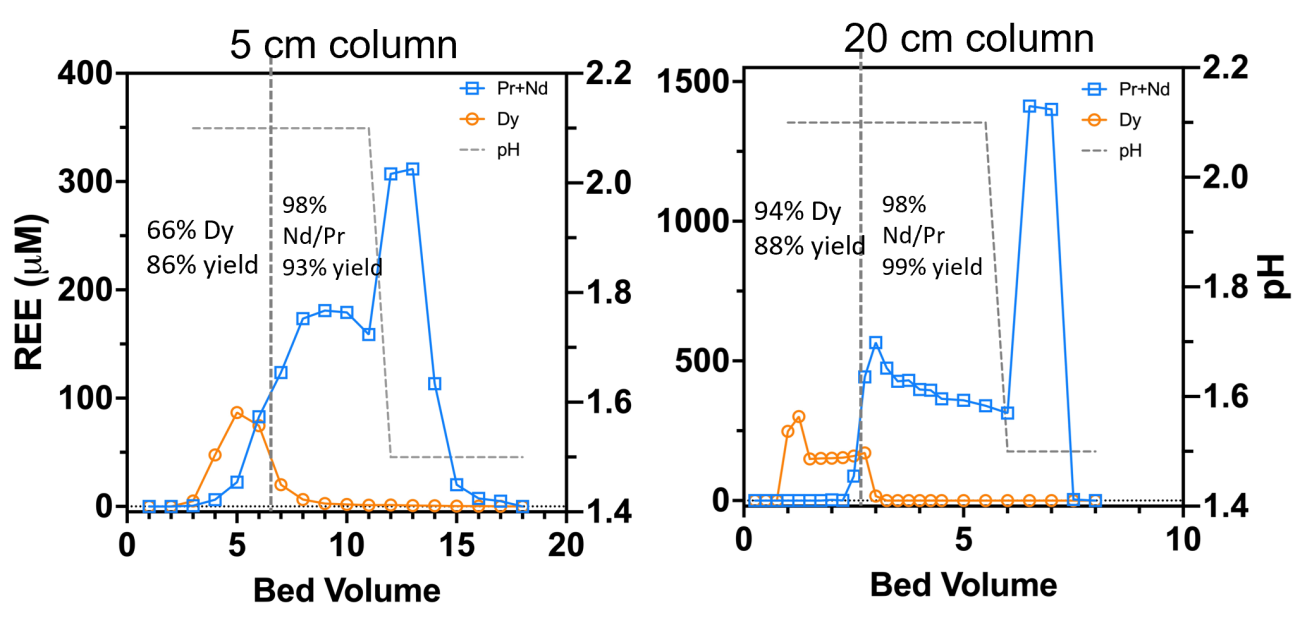 two line graphs: Testing the LanM separation process with REO (13% Dy of total REE content) generated from end-of-life Nissan Leaf motors. Dissolved (HCl; pH 1) REO solution was adjusted to pH 3 and applied to a 5 cm length (1 ml) or 20 cm length (8 ml) LanM column until ~70% capacity was achieved (immediately prior to breakthrough). The column was subjected to a two-step pH elution process (pH 2.1 and 1.5) and the Nd, Pr, and Dy concentrations were measured. The relative REE composition for each desorption