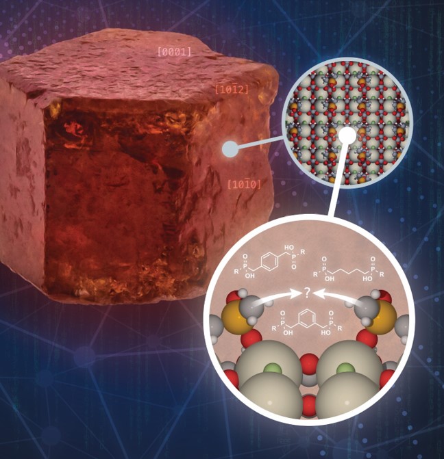 Illustration of conceptual design of surface-active molecules (collectors) that are positioned to provide an optimal binding with the (100) surface of bastnaesite, the natural crystal morphology, which is shown as a chiseled at edges hexagonal prism. 
