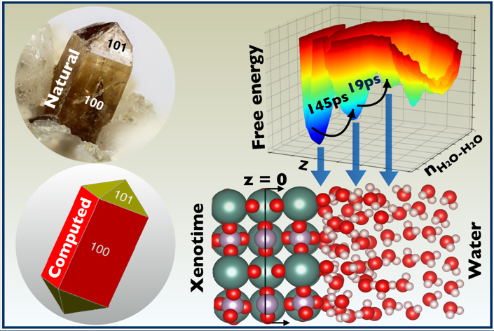 Resemblance between the naturally occurring and the computed crystal structure morphology (left). The 2D free energy surface as a function of the distance (z) from the central layer and the number of water-water hydrogen bonds (n), highlighting the multilayered water structure and the associated exchange  timescales at the water-xenotime interface(right).