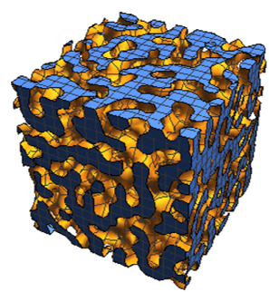image of machine learning prediction