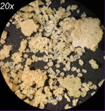 image of recovered samarium-rich solids, shown at 20 times magnification (tan on black)