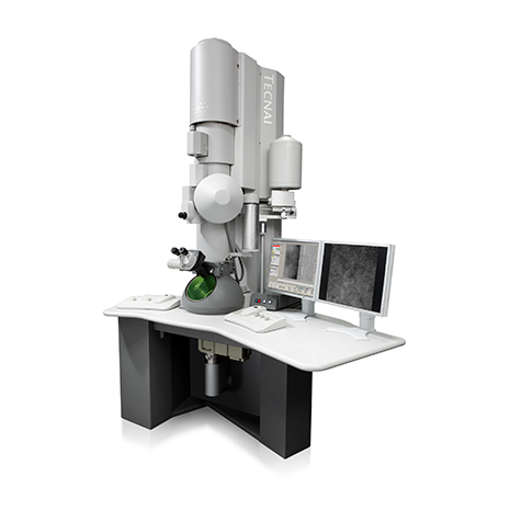 Scanning Transmission Electron Microscope (STEM)