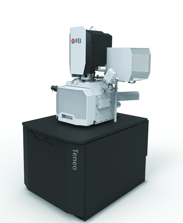 Field-Emission Scanning Electron Microscope (FE-SEM)