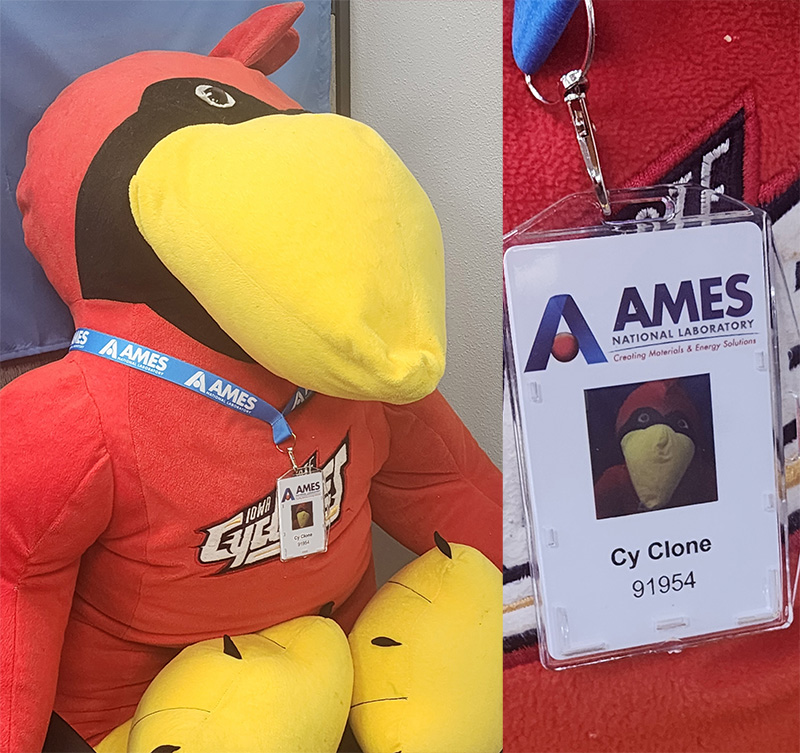 Stuffed Cy with his Ames Lab badge.