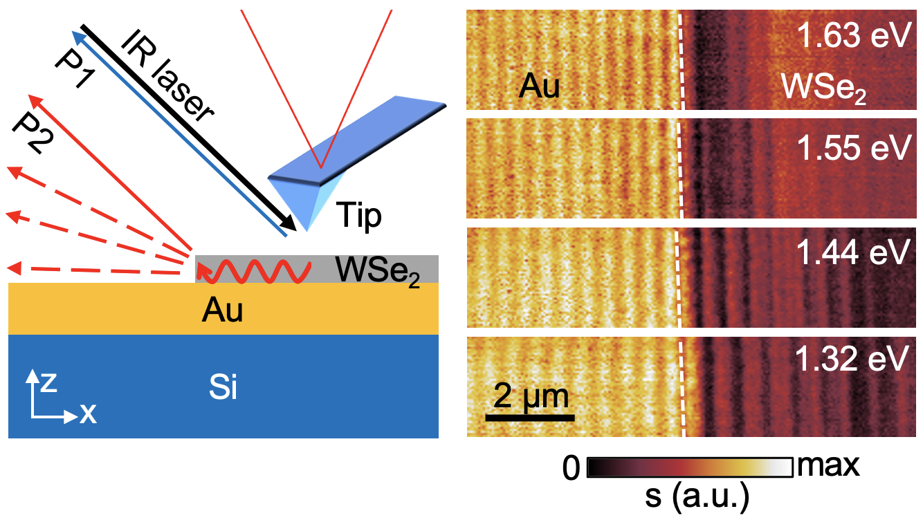 excition-plasmon polaritons imaging