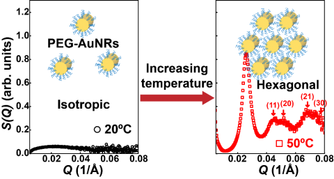 depiction of self-assembling gold nanorods