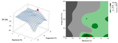 Surface and contour plots of NPV for bioleaching of black mass