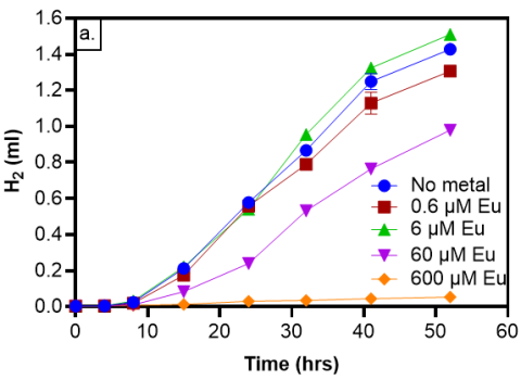 Hydrogen production by S. mesophilum incubated with different nominal concentrations of Eu (a) or Sm (b). Decreased hydrogen production compared to the no metal control indicates inhibition of normal metabolic activity for the organism.
