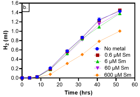 Hydrogen production by S. mesophilum incubated with different nominal concentrations of Eu (a) or Sm (b). Decreased hydrogen production compared to the no metal control indicates inhibition of normal metabolic activity for the organism.