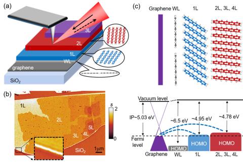 Tailor Plasmons in Pentacene/Graphene Heterostructures with Interlayer Electron Transfer