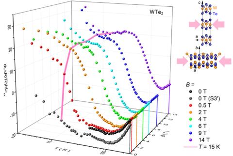 3D representation of magnetoelastoresistance (MER)