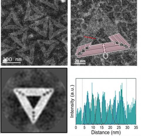 Direct imaging of unstained DNA origami