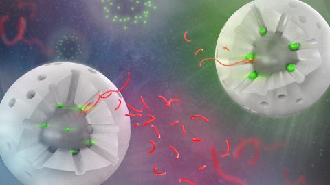 Visual representation of catalyst molecules.