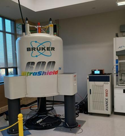 600 MHz Bruker