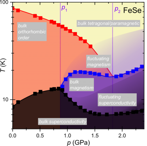 Temperature-pressure phase diagram of FeSe from specific heat measurements.