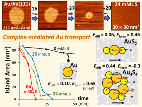 Complex mediated AU transport