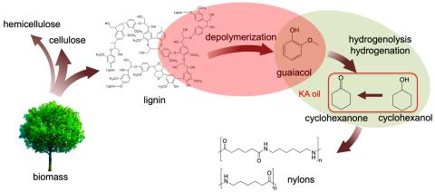 Kraft lignin conversion process