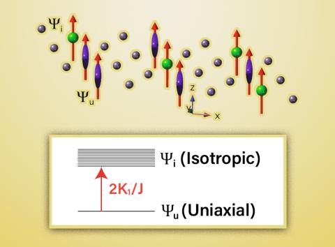 Diagram of uniaxial and isotropic Tb ions.