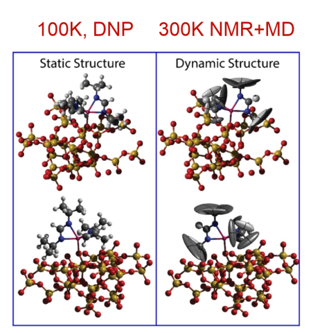 Supported Metal Complexes