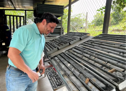 Person looking at rows of samples 