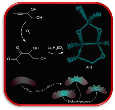 a-diketones