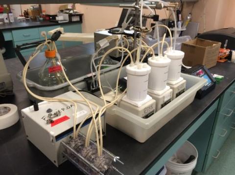 Continuous bioreactors inoculated with sludge from Denver’s Metro Wastewater Reclamation District.