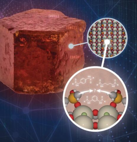 Illustration of conceptual design of surface-active molecules (collectors) that are positioned to provide an optimal binding with the (100) surface of bastnaesite, the natural crystal morphology, which is shown as a chiseled at edges hexagonal prism.