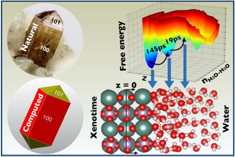 Resemblance between the naturally occurring and the computed crystal structure morphology (left). The 2D free energy surface as a function of the distance (z) from the central layer and the number of water-water hydrogen bonds (n), highlighting the multilayered water structure and the associated exchange  timescales at the water-xenotime interface(right).