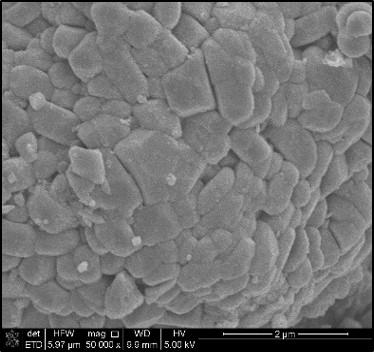 SEM images of recycled LiNi1/3/Mn1/3Co1/3O2 and LiMn2O4 powders: (top) LiOAc-LiNO3 system @300? 