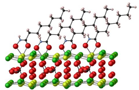 Bidentate Chemisorbed Hydroxamate