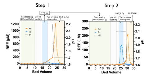 graphs show Lanmodulin enables high-purity separation of Nd/Dy. A solution comprising a 5:95 mixture of Dy:Nd (pH 3) was subjected to two coupled adsorption/desorption cycles. The first cycle (left panel) generated a high-purity Nd solution (99.9%) and an upgraded Dy (44% Dy/ 56% Nd) solution. The upgraded Dy solution was used as a feed solution in a second adsorption/desorption cycle (right panel) to generate high-purity Dy and Nd fractions. The duration of each pH step is depicted by the dark gray dashed 