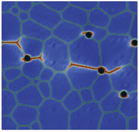 Image shows typical fracture pattern (red) in Nd-Fe-B sintered magnet (black: Nd-oxide phase)