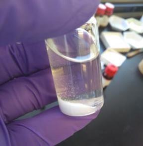 image of hand holding a vial of liquid and white precipitate