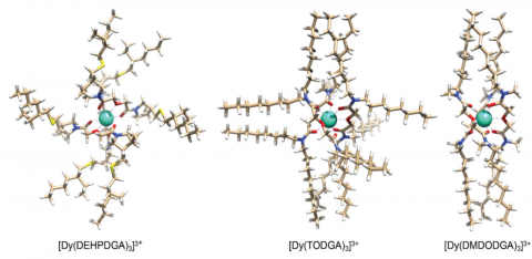 Structures of the homoleptic [Dy(DGA3)]3+ complexes optimized in the gas phase showing alkyl-alkyl interactions.
