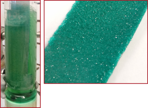image of two green samples, left is Dimethyl ether fractional crystallization (DME-FC) reaction vessel containing ion exchange column strip solution. Right is Solid Product on stainless-steel nucleation scaffold. 