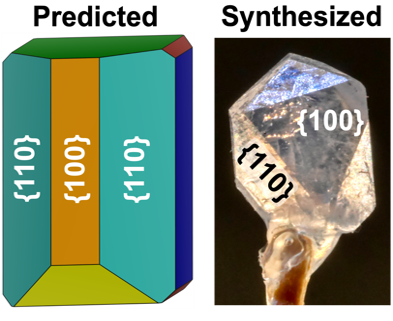 Comparison of predominant facets for predicted, synthesized lanthanum-monazite particle.