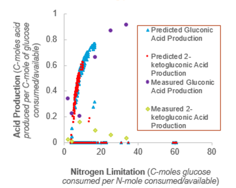 Comparison of predicted and measured gluconic acid and 2-ketogluconic acid production as a function of the C:N ratio in the feed provided to G. oxydans.