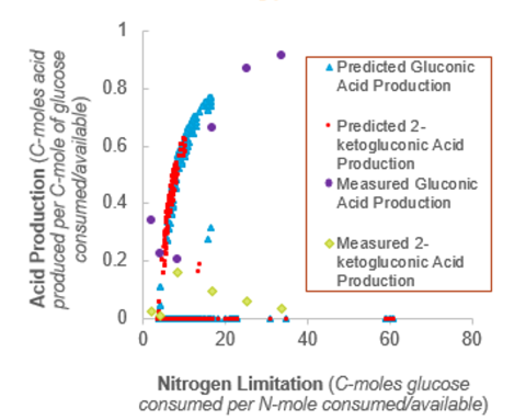 Comparison of predicted and measured gluconic acid and 2-ketogluconic acid production as a function of the C:N ratio in the feed provided to G. oxydans. 