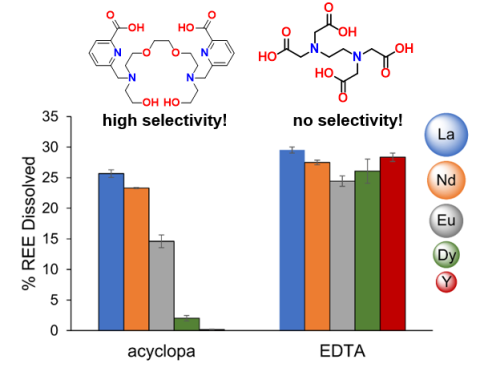 combination image of diagram of chemical compound and a bar chart showing precision leaching of REEs from caustically cracked RE(PO4)3 (RE(OH)3) after 26 h at RT. Top, pH 8.6: The new lixiviant acyclopa enables selective dissolution of large REEs from the hydroxide mixture, whereas the conventional chelator EDTA fails to demonstrate any selectivity.
