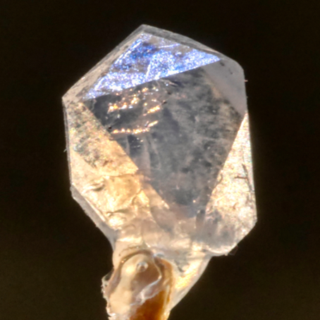 image of La-monazite crystals as-synthesized in a Pt crucible. Remaining flux may hide additional crystals. 