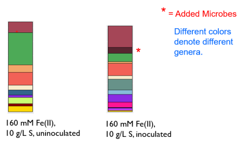 two colorful pillars represent phylogenetic analysis of microbial communities after two-week incubation. Both communities are highly diverse as shown. 