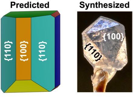 two images compare the predominant facets for a predicted and synthesized lanthanum-monazite particle.