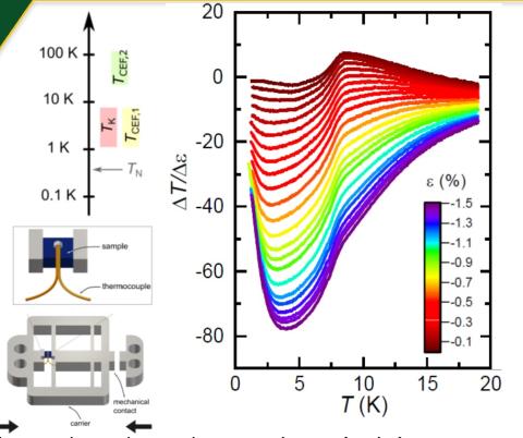 Dissecting fermions