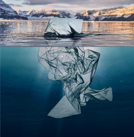 Plastic bag in water.