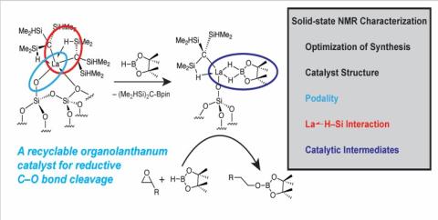 organolanthanide