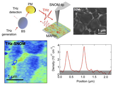 perovskite grain boundaries