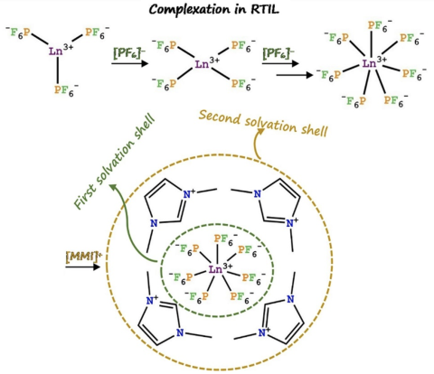 RE complex formation schematic