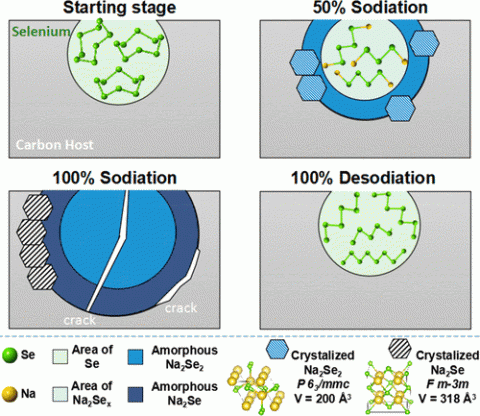 Illustration of sodiation in a selenium battery