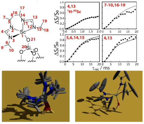 NMR-based distance measurement data and 3D structure