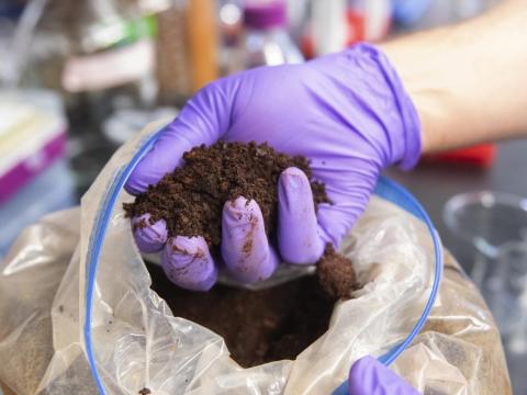 image of hand holding sample of clay that contains rare earth elements